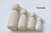One Box of Unfinished Solid Wood Peg Toy People Family Doll Bodies