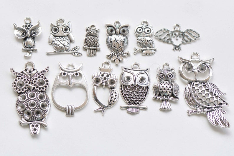 Antique Silver Owl Charms Mixed Style Set of 12 A8655