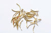 100 pcs Raw Brass Curved Connecting Rod Bar Link Jewelry Connector 13mm A3392