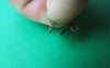 20 pcs of Antique Bronze Brass Ear Clips 12mm A2117