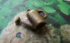 People, Profession & Hobby - 10 pcs Antique Bronze 3D Watering Pot Charms 13x16mm A3273