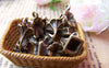 Accessories - 10 Pcs Antique Bronze Old-Fashioned Phonograph Gramophone Charms 9x14mm A1638
