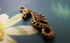 Accessories - 10 Pcs Antique Bronze Seahorse Charms Double Sided 10x24mm A656