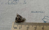 Accessories - 10 Pcs Antique Silver Seedpod Of Lotus Flower Charms 11x11mm A6546