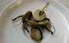 Accessories - 10 Pcs Of Antique Bronze Base Setting French Earwire Match 16mm Bezel A6449
