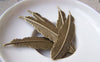 Accessories - 10 Pcs Of Antique Bronze Brass Feather Cabochon 12x53mm A421