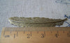 Accessories - 10 Pcs Of Antique Bronze Brass Feather Cabochon 12x53mm A421