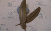 Accessories - 10 Pcs Of Antique Bronze Brass Feather Embellishment 24x110mm A7456
