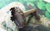 Cufflinks - 10 pcs Antique Brass Crown Cuff Links Cufflinks 15mm Bezel A2613