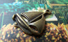 Accessories - 10 Pcs Of Antique Bronze Catamaran Sailing Boat Charms 18x23mm A949
