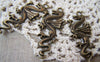 Accessories - 10 Pcs Of Antique Bronze Flying Dragon Charms Pendants 20x45mm A600