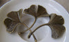 Accessories - 10 Pcs Of Antique Bronze Huge Gingko Gingkgo Leaf Connector Pendants 32x42mm A592
