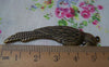Accessories - 10 Pcs Of Antique Bronze Huge Parrot Pendant Charms 15x55mm A243