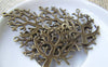 Accessories - 10 Pcs Of Antique Bronze Huge Tree Charms 26x28mm A451