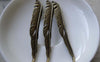Accessories - 10 Pcs Of Antique Bronze Long Leaf Charms Pendants 11x62mm A7769
