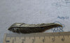 Accessories - 10 Pcs Of Antique Bronze Long Leaf Charms Pendants 11x62mm A7769