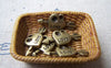 Accessories - 10 Pcs Of Antique Bronze Love Heart Arrow Charms 10x20mm A4479