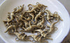 Accessories - 10 Pcs Of Antique Bronze Lovely 3D Dinosaur Charms 27mm A3674