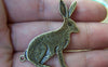 Accessories - 10 Pcs Of Antique Bronze Lovely Rabbit Hare Charms 25x42mm A661
