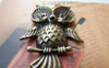 Accessories - 10 Pcs Of Antique Bronze Owl Pendants Charms 26x39mm A132