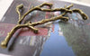Accessories - 10 Pcs Of Antique Bronze Tree Branch Connectors Charms 30x52mm A7391