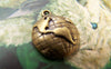 Accessories - 10 Pcs Of Antique Bronze World Map Round Charms 15mm A1484