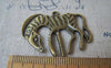 Accessories - 10 Pcs Of Antique Bronze Zebra Horse Charms 30x37mm A4273
