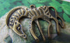 Accessories - 10 Pcs Of Antique Bronze Zebra Horse Charms 30x37mm A4273