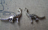 Accessories - 10 Pcs Of Antique Silver 3D Dinosaur Charms 22mm A1157