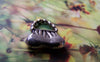 Accessories - 10 Pcs Of Antique Silver Handbag Charms Pendants 15mm A845