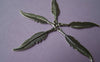 Accessories - 10 Pcs Of Antique Silver Lovely Leaf Charms 35mm A1024