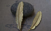 Accessories - 10 Pcs Of Gold Color Brass Feather 12x53mm A3109