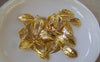 Accessories - 10 Pcs Of Gold Tone Three Leaf Branch Charms 24x27mm A5410
