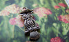 Accessories - 10 Pcs Of Tibetan Silver Antique Silver Lovely Owl Charms Double Sided 10x22mm A1846