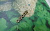 Accessories - 100 Pcs Of Antique Bronze Five Hole Connectors 3.5x17mm A5465