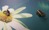 Accessories - 100 Pcs Of Antique Bronze Medium Fold Over Crimp Head Clasps 4x9mm A2099