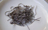 Accessories - 100 Pcs Of Gunmetal Black Fish Hook Earwire Findings 18mm A3259