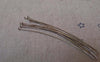 Accessories - 100 Pcs Of Platinum White Gold Tone Brass Headpin - 25G - 50mm A7479