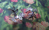 Accessories - 100 Pcs Of Silver Tone Three Leaf Filigree Bead Caps 14mm A2055