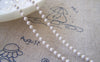 Accessories - 16ft (5m) Of White Electrophoresis Bead Chain 2.4mm A2337