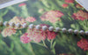 Accessories - 16ft (5m) Of White Electrophoresis Bead Chain 2.4mm A2337