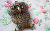Accessories - 2 Pcs Owl Pendants Rhinestone Charms 33x50mm A120