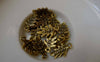 Accessories - 20 Pcs Antique Gold Leaf Charms 9x15mm A7475