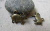 Accessories - 20 Pcs Of Antique Bronze 3D Pig Charms 16x21mm A6104