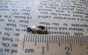 Accessories - 20 Pcs Of Antique Bronze Brass Lobster Claw Clasps 5x9mm A2796