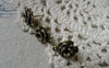 Accessories - 20 Pcs Of Antique Bronze Flower Earring Posts With Loop Steel Pin 12mm A6508