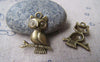 Accessories - 20 Pcs Of Antique Bronze Lovely Owl Charms 18x24mm A139