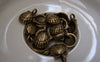 Accessories - 20 Pcs Of Antique Bronze Lovely Sea Shell Scallp Charms 10x11mm A2167