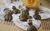 Accessories - 20 Pcs Of Antique Bronze Money Bag Charms 11x17mm A560