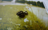 Accessories - 20 Pcs Of Antique Bronze Pineal Pinecones Charms Pendants 5x15mm A5583